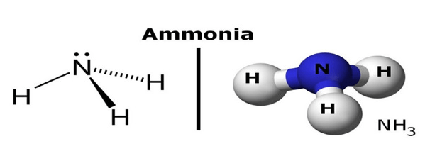 amoniac