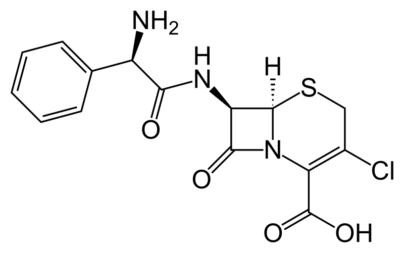 CEFACLOR