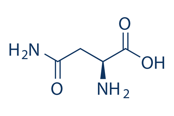 l asparagine chemical structure s5571